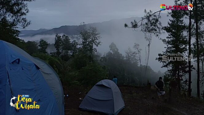 
					Wisata Hutan Pinus Tangkulowi | Kulawi (Sigi – Sulawesi Tengah)