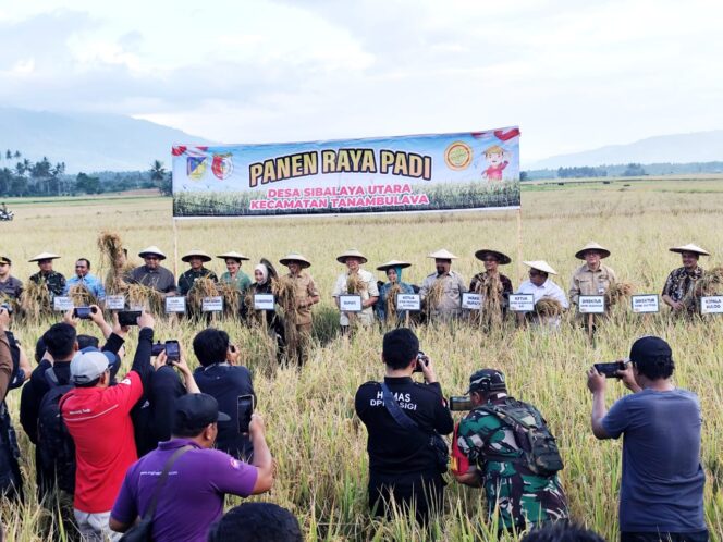 
					Dirjen PSP Kementrian RI Hadiri Panen Raya Padi di Sigi